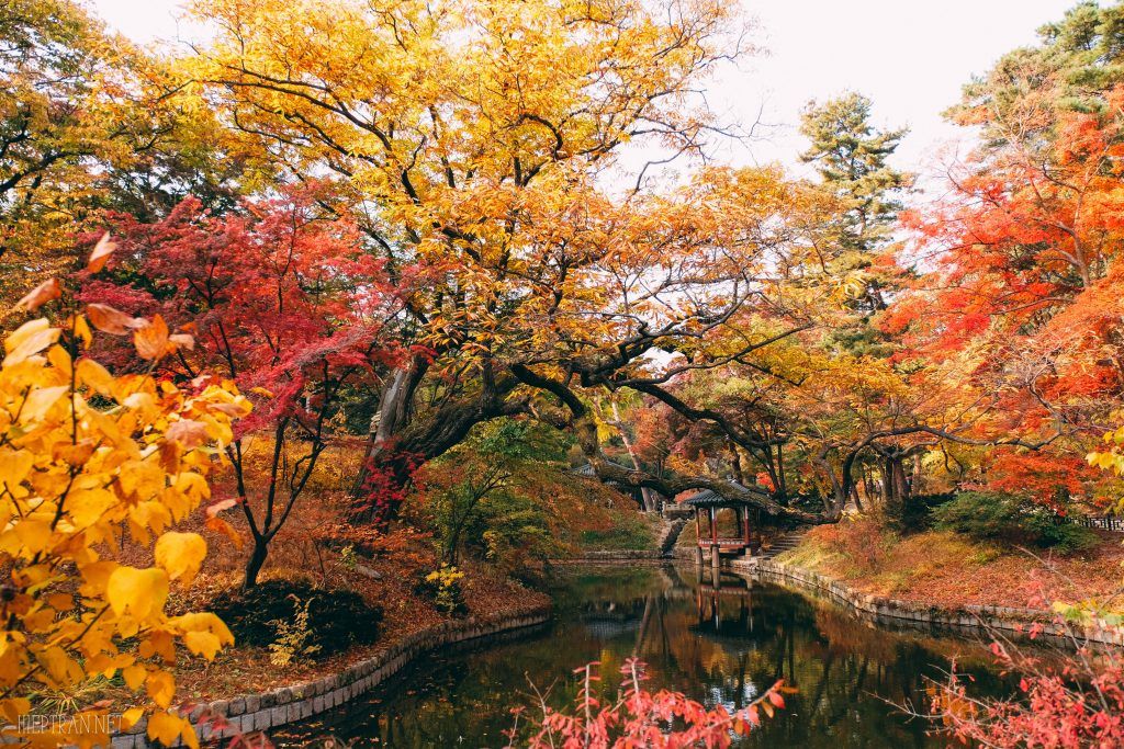 Những nơi tuyệt vời ngắm mùa thu Hàn Quốc