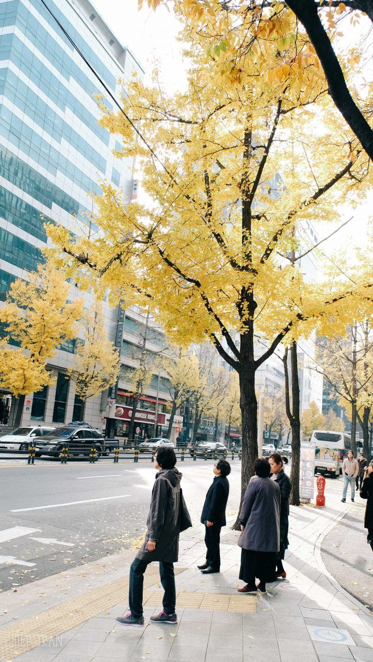 Những nơi tuyệt vời ngắm mùa thu Hàn Quốc