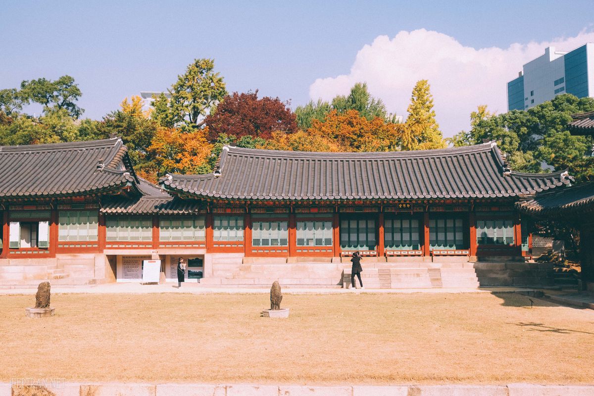 Kinh nghiệm du lịch Hàn Quốc tự túc từ A đến Z